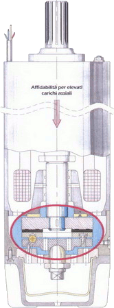 Pump section: thrust bearing detail